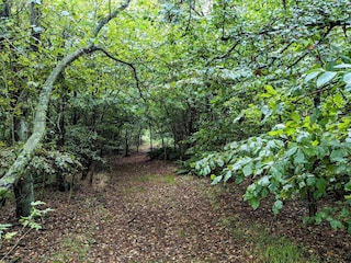 Ferienhaus Ringkøbing  17