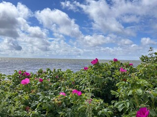 Casa per le vacanze Ringkøbing  35