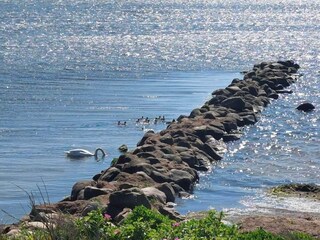 Casa per le vacanze Ringkøbing  30