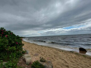 Maison de vacances Ringkøbing  4