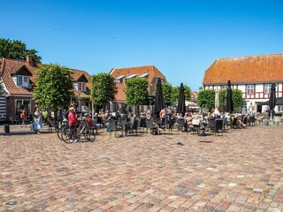 Casa per le vacanze Ringkøbing  19