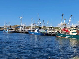 Vakantiehuis Ringkøbing  6