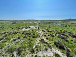 Casa per le vacanze Ringkøbing  27