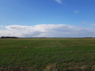 Casa per le vacanze Ringkøbing  6