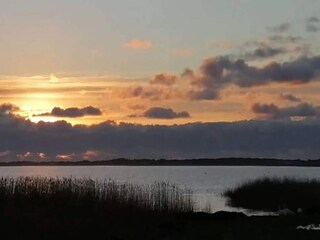 Vakantiehuis Ringkøbing  10