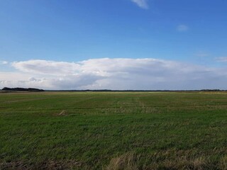 Casa de vacaciones Ringkøbing  6