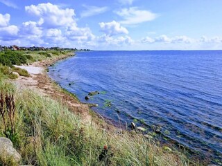 Maison de vacances Ringkøbing  5