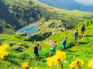 Vakantiepark Turracherhöhe Omgeving 32