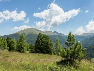 Parc de vacances Turracherhöhe Environnement 27