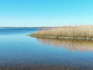 Casa per le vacanze Ringkøbing  42