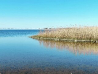 Casa per le vacanze Ringkøbing  39