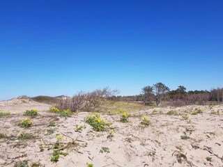 Vakantiehuis Frederiksværk  17