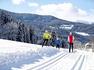 Parc de vacances Turracherhöhe Environnement 32