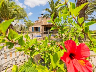 Vakantiehuisje Vilafranca de Bonany  38