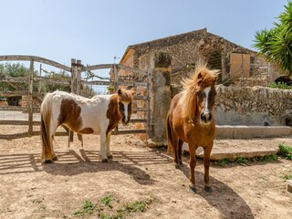 Villa Campos Grabación al aire libre 5