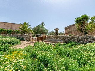 Villa Campos Enregistrement extérieur 25