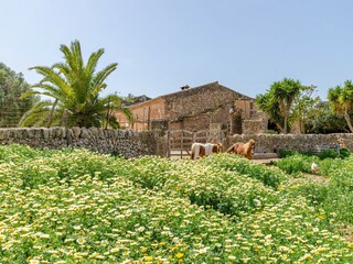 Villa Campos Enregistrement extérieur 26