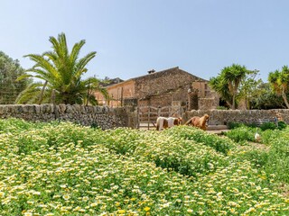 Villa Campos Buitenaudio-opname 28