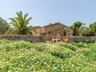 Villa Campos Outdoor Recording 14