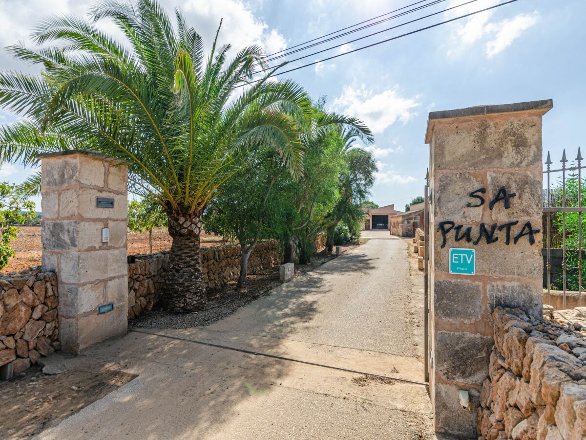 Villa Ses Salines Außenaufnahme 7