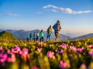 Appartamento Turracherhöhe Ambiente 25