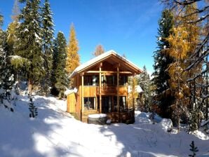 Parc de vacances Chalet somptueux avec jacuzzi extérieur - Murau - image1