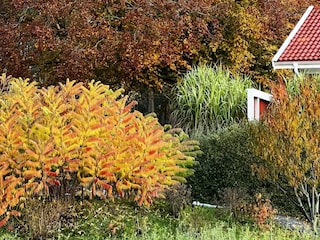 Ferienhaus Welt  19