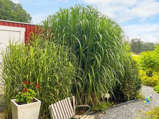 Vakantiehuis Welt  14