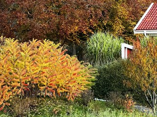 Vakantiehuis Welt  19