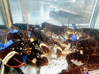 Holiday house Welt  32