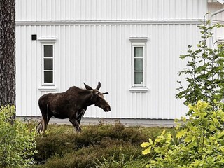 Ferienhaus Welt Außenaufnahme 5