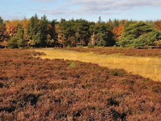 Maison de vacances Bogense  23