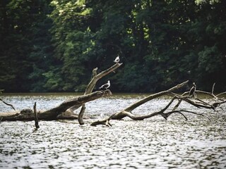 Holiday house Bogense  38