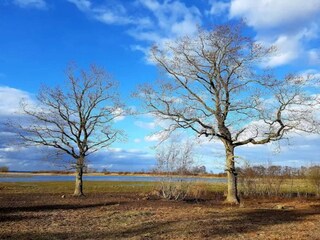 Casa per le vacanze Bogense  33