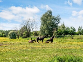 Ferienhaus Fjellerup Strand  36