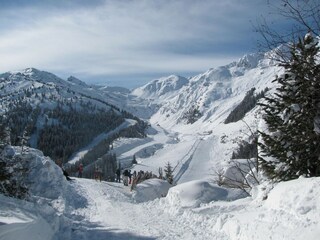 Appartement Kaltenbach Environnement 24