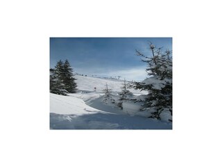 Appartement Kaltenbach  36
