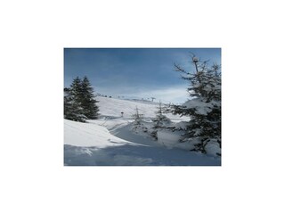 Appartamento Kaltenbach  38