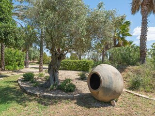 Villa Binissalem Buitenaudio-opname 41