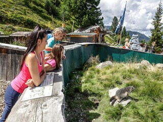 Holiday house Kaltenbach Environment 34