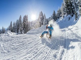 Ferienhaus Kaltenbach Umgebung 29
