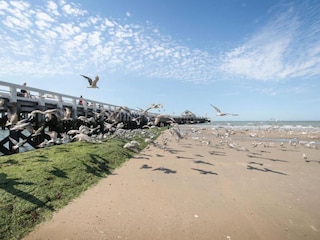 Apartment Blankenberge Umgebung 34