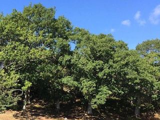 Maison de vacances Klädesholmen  8