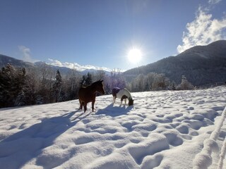 Maison de vacances Schwaz  21