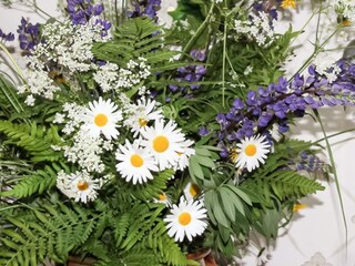 Vakantiehuis Uddevalla  8