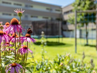 Holiday park Radstadt  52