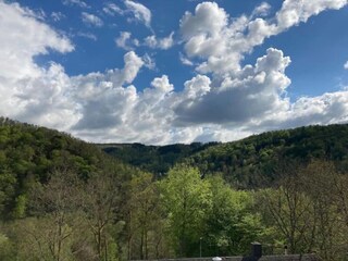 Casa per le vacanze Vresse-sur-Semois Ambiente 40