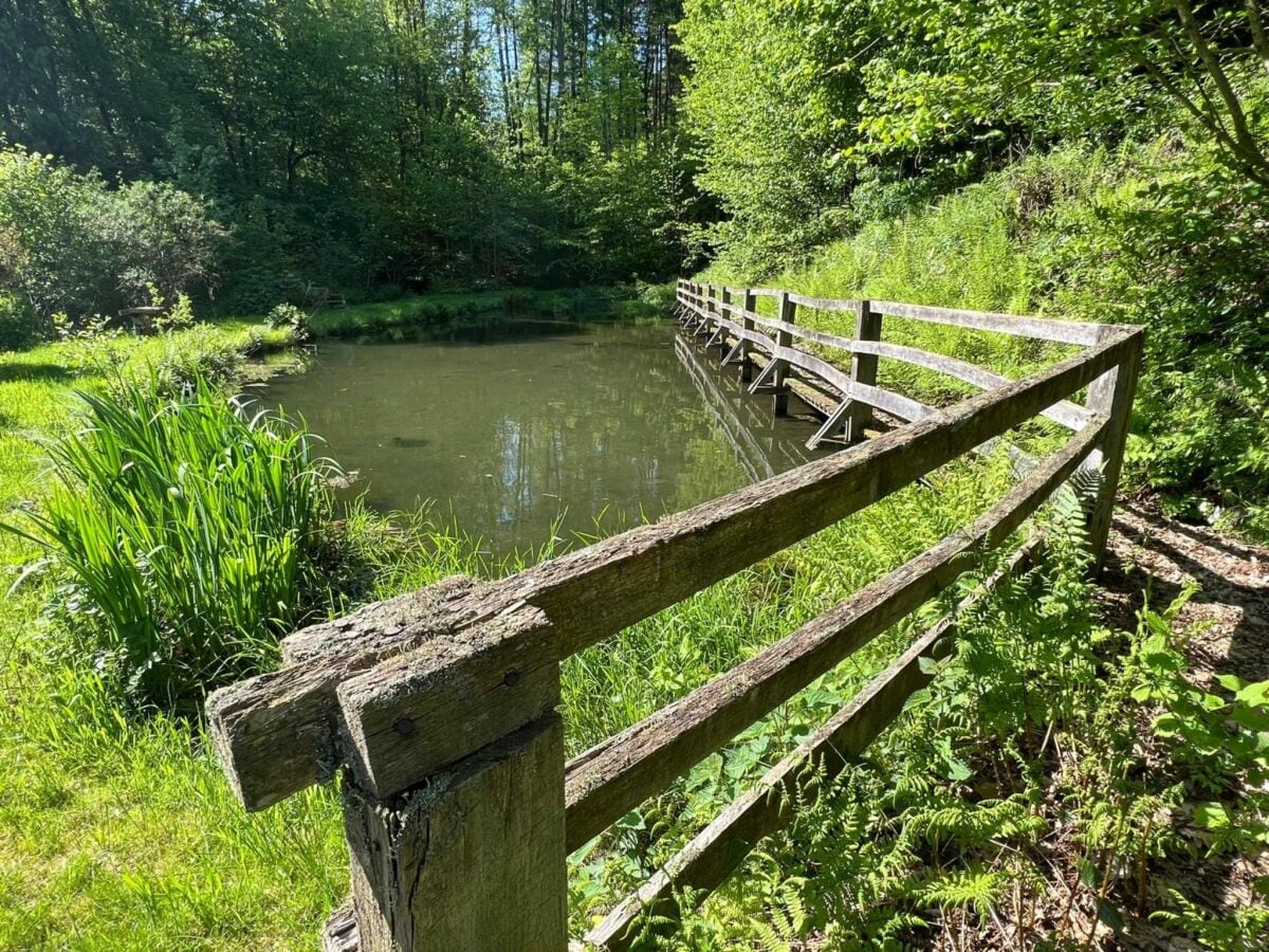 Maison de vacances Vresse-sur-Semois Enregistrement extérieur 1