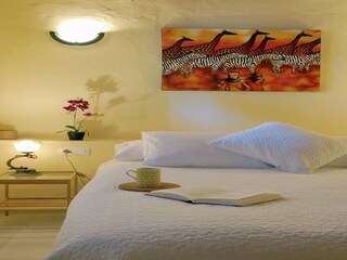 Apartamento Punta de las Mujeres Características 5