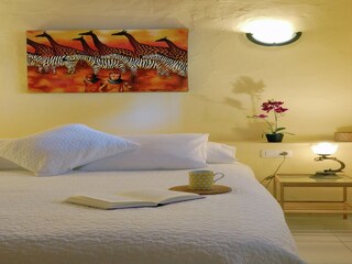 Apartment Punta de las Mujeres Features 16